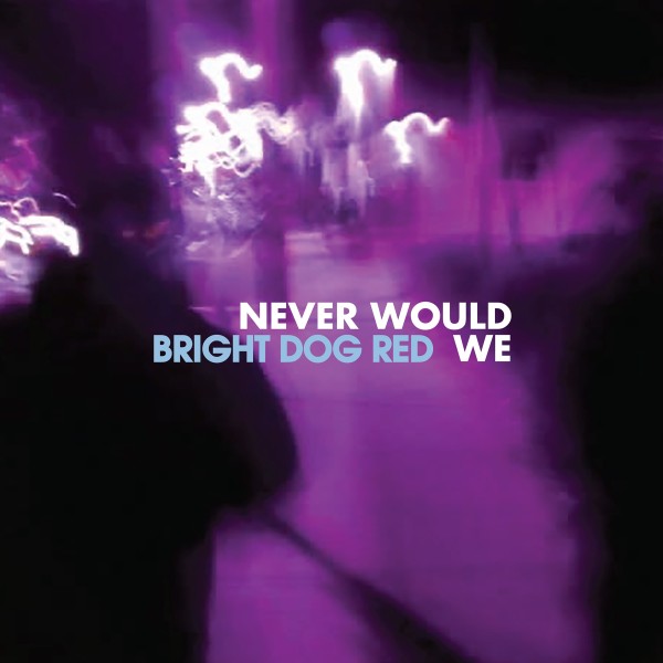 Bright Dog Red - Never Would We