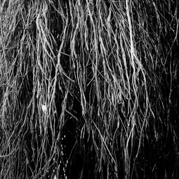 Merzbow, Iggor Cavalera & Eraldo Bernocchi - Nocturnal Rainforest